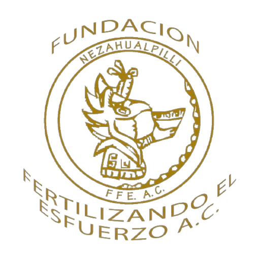 Fundación Fertilizando el Esfuerzo A.C.